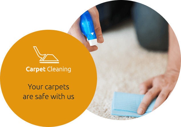 Steam carpet cleaning in Aventura, FL