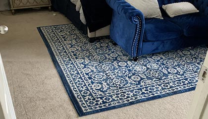 Viscose Rug Pofessional Cleaning Service
